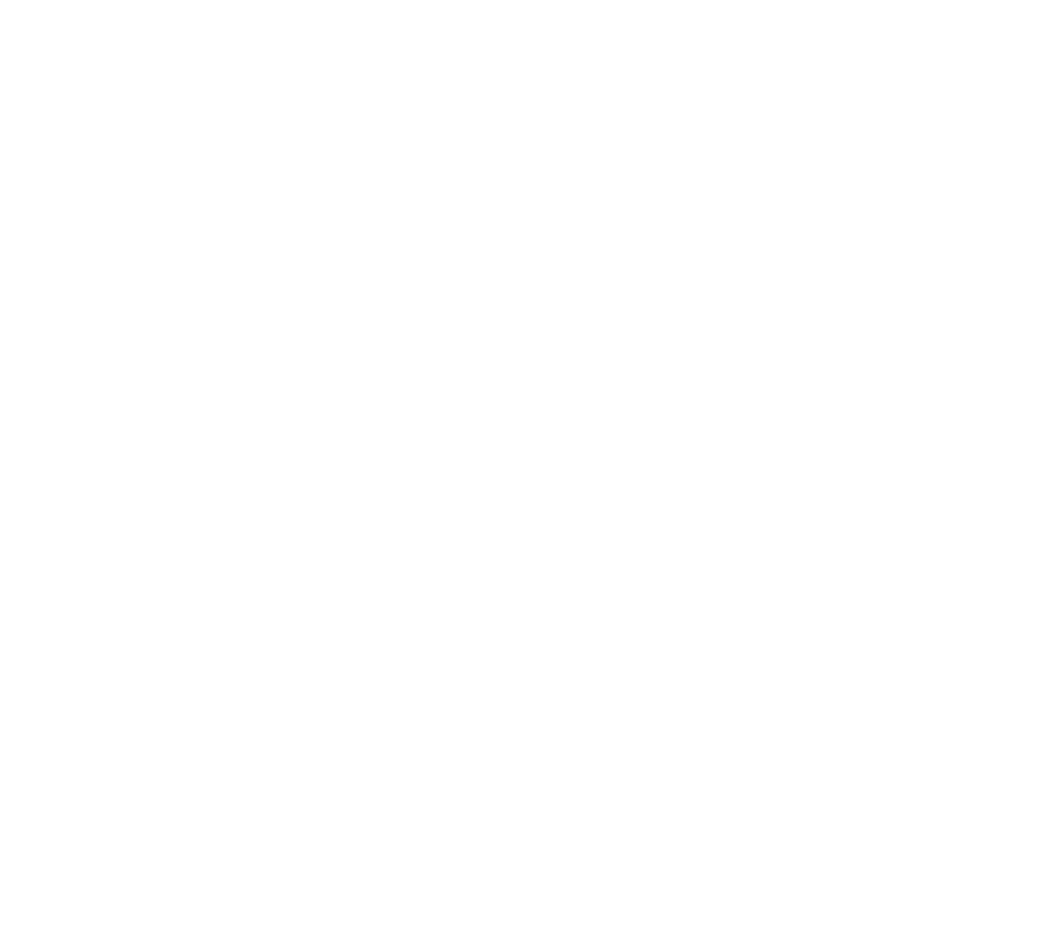 Skyline Logo